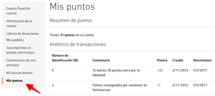 Sostema de puntos en tienda online