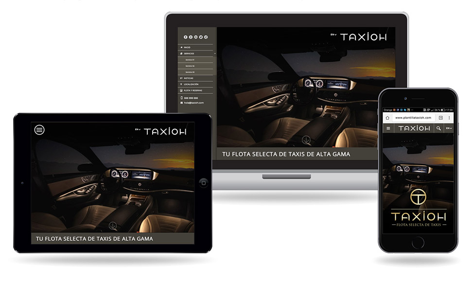 Web para taxis y empresas de transporte